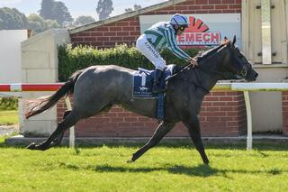 Emily Margaret (NZ) winning the second leg of the 2018-19 Southern Filly of the Year Series.